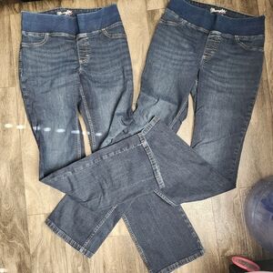 Wrangler Blue Women's Jeggings